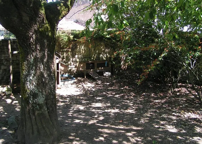 Andromeda - Les Constellations *